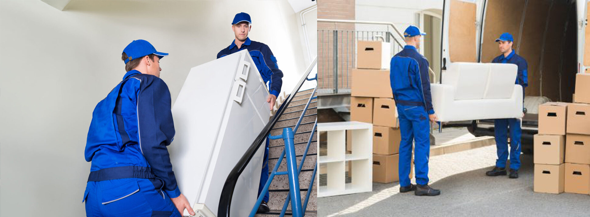 debarasari bucuresti